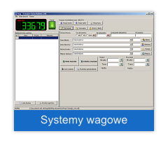 systemy wagowe
